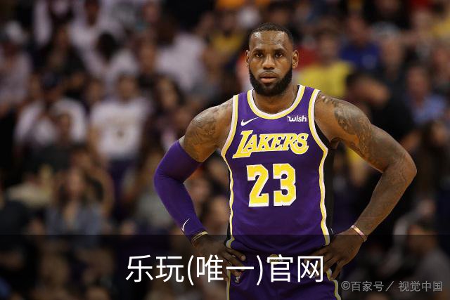 乐玩(唯一)官网公司简介