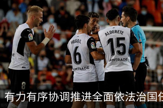 有力有序协调推进全面依法治国任务落实（权威发布·开局起步“十五五”）